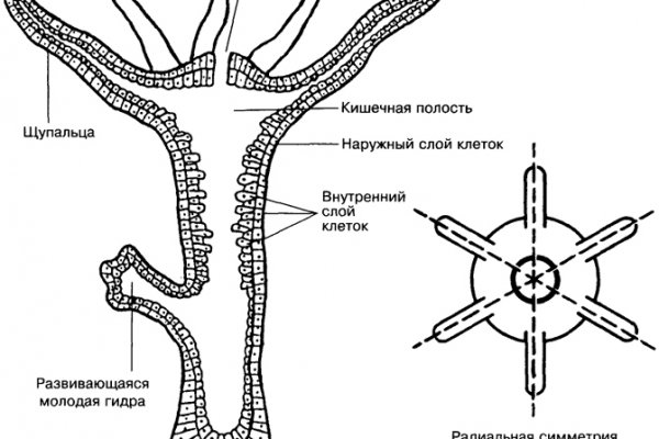 Кракен зеркало на тор