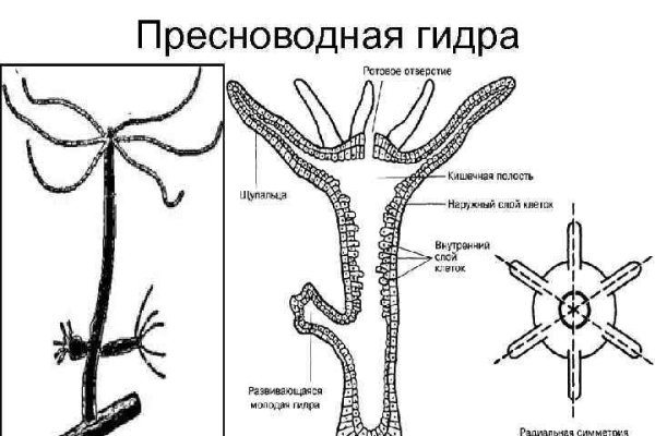 Kraken официальный сайт ссылка через tor