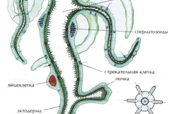 Почему не могу зайти на кракен