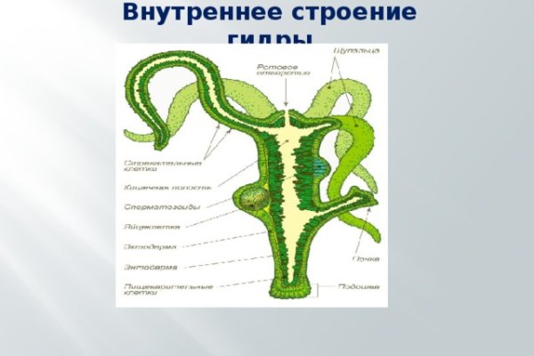 Восстановить аккаунт на кракене